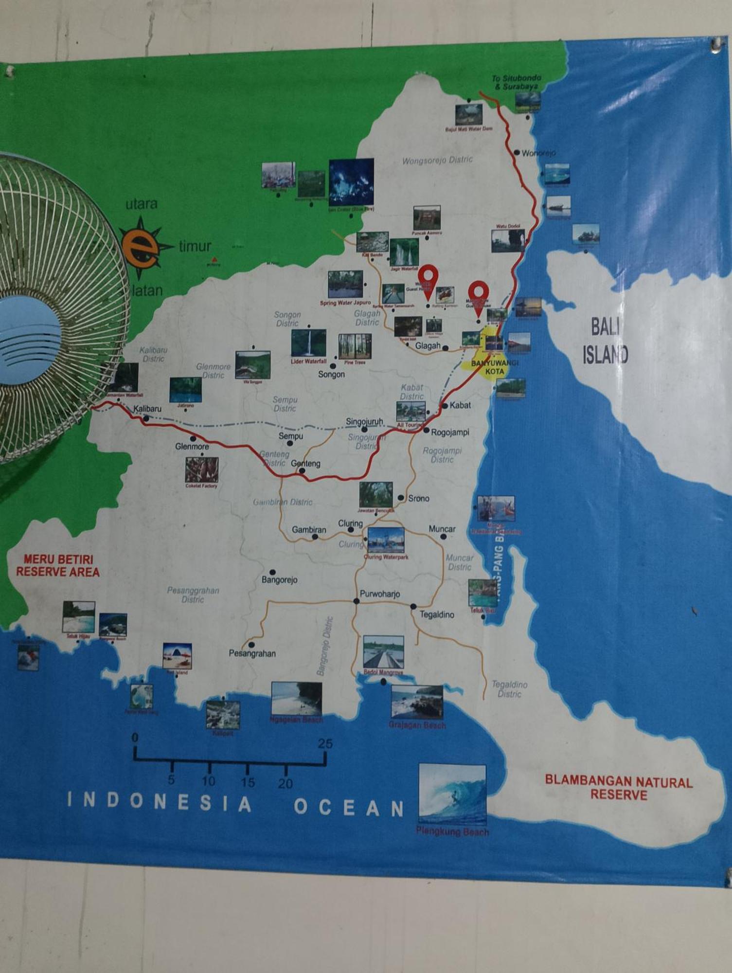 Mango Tree Homestay & Ijen Tour Banyuwangi  Eksteriør bilde